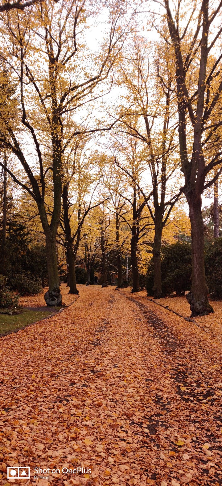 Road to Silence
