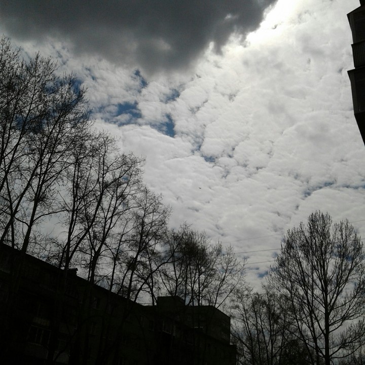Sky☁