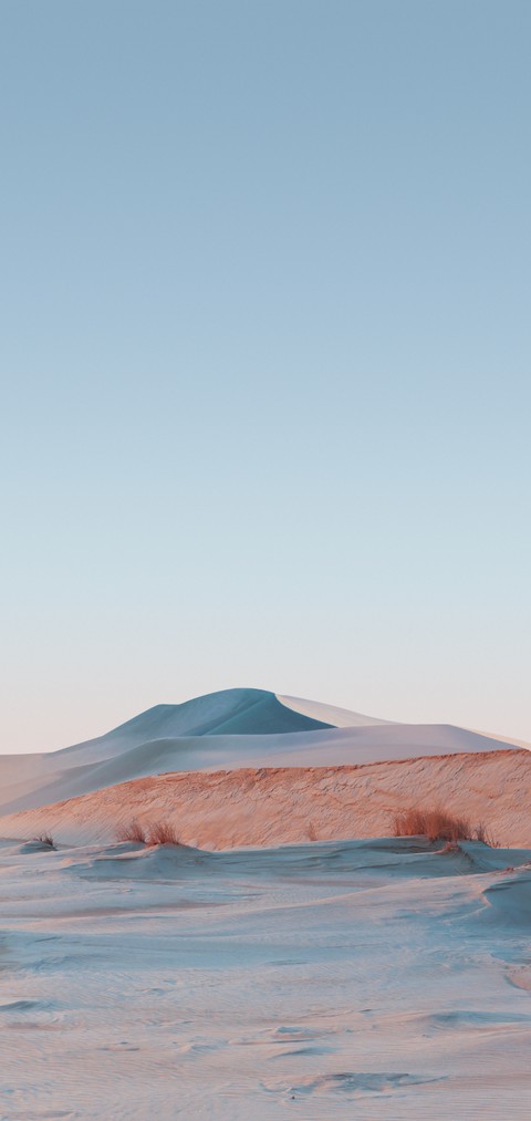 Minimalist