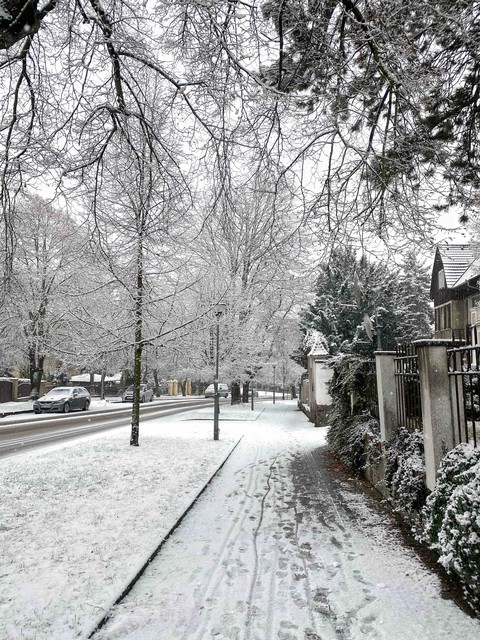 winter