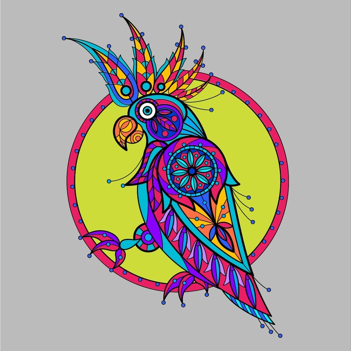 попугай parrot bird