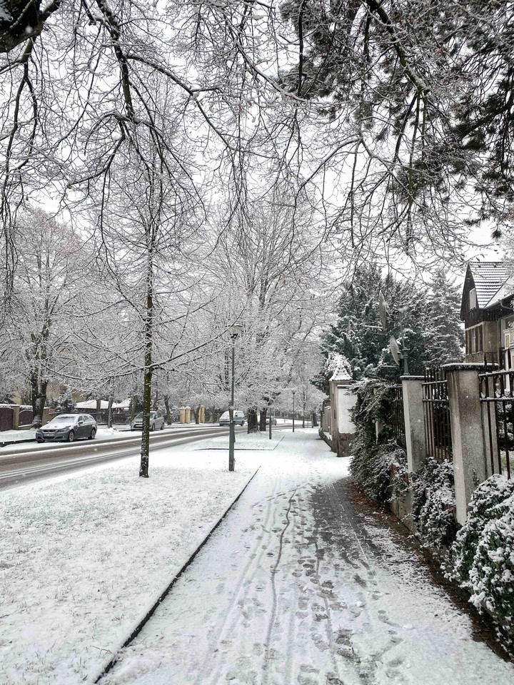 winter