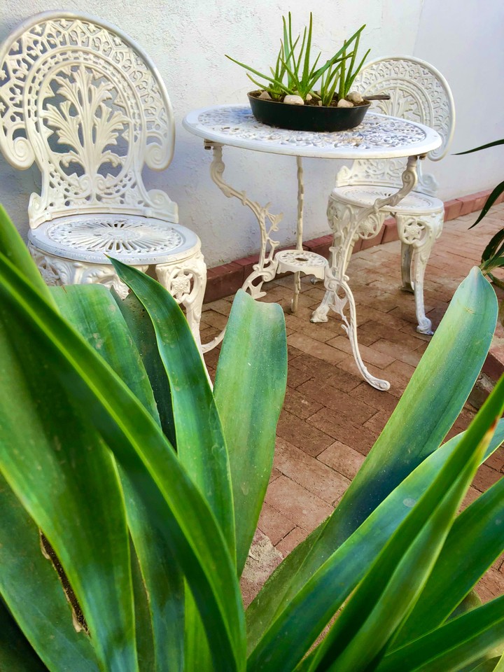 Jardín