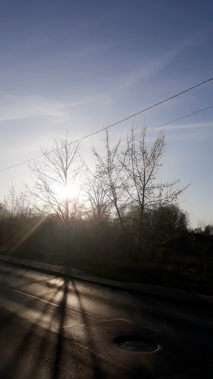 Sunny