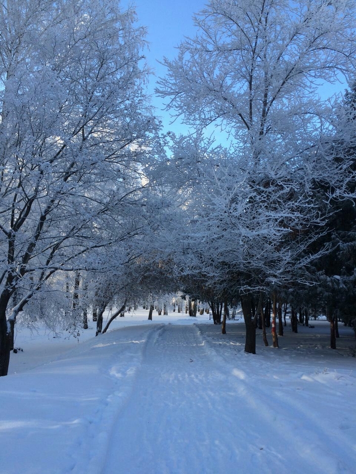 Winter