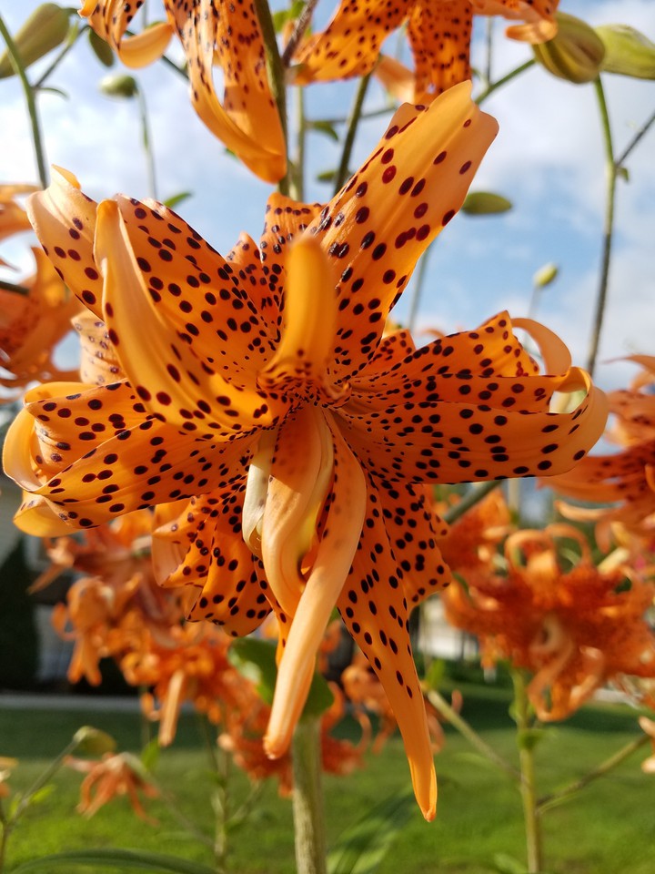finding the beauty in the little things