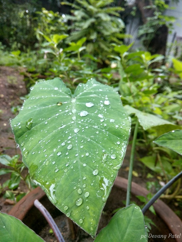 And the droplets were ready for the "PERFECT CLICK"