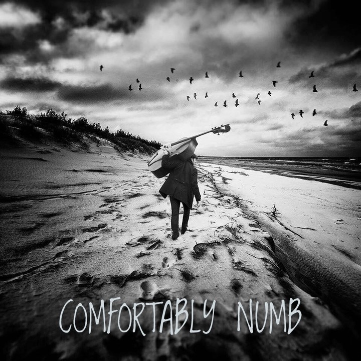 Comfortably Numb