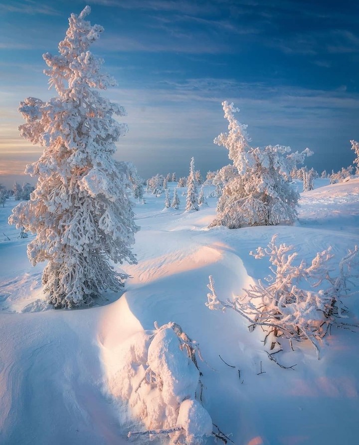 #snow