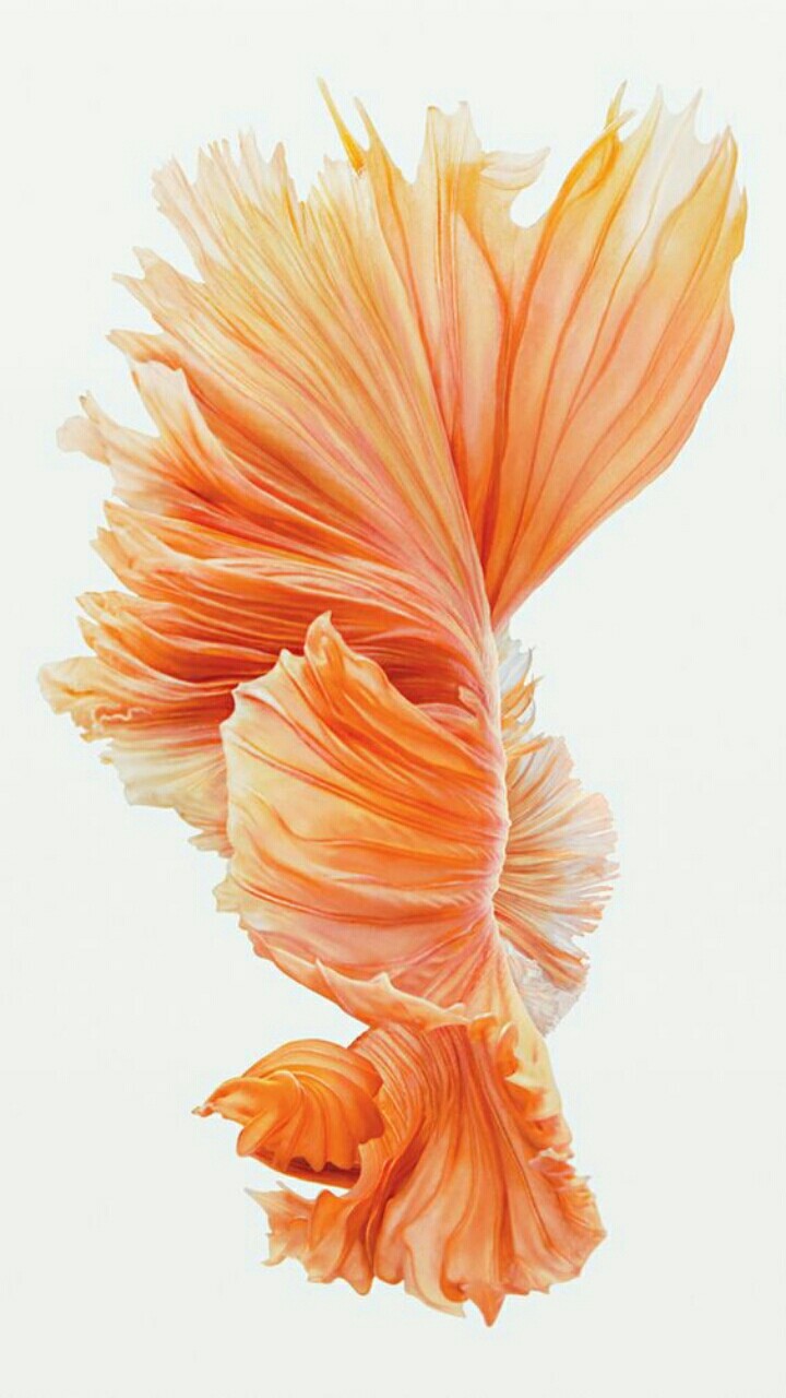 abstract