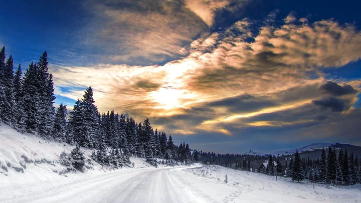 Transalpina