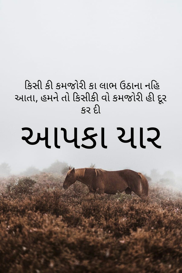Aapka yar