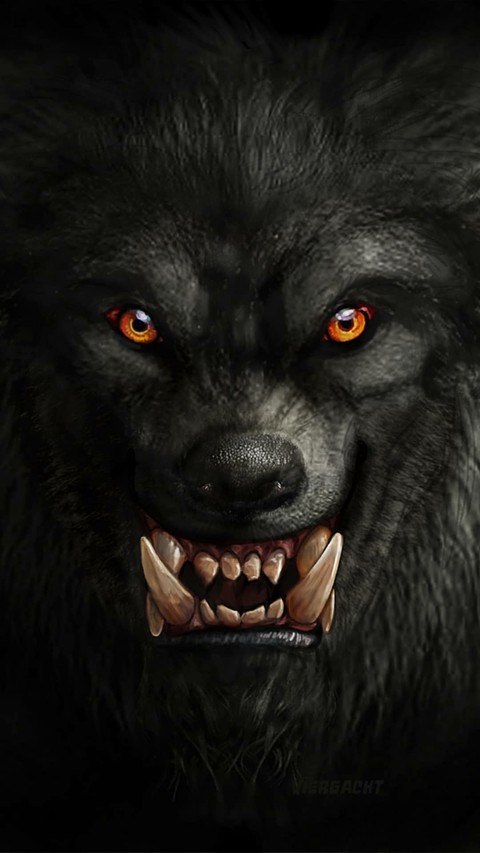 Dark