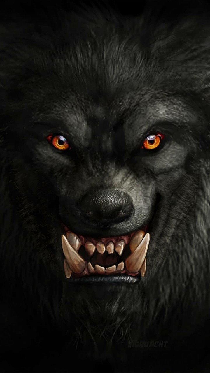 Dark