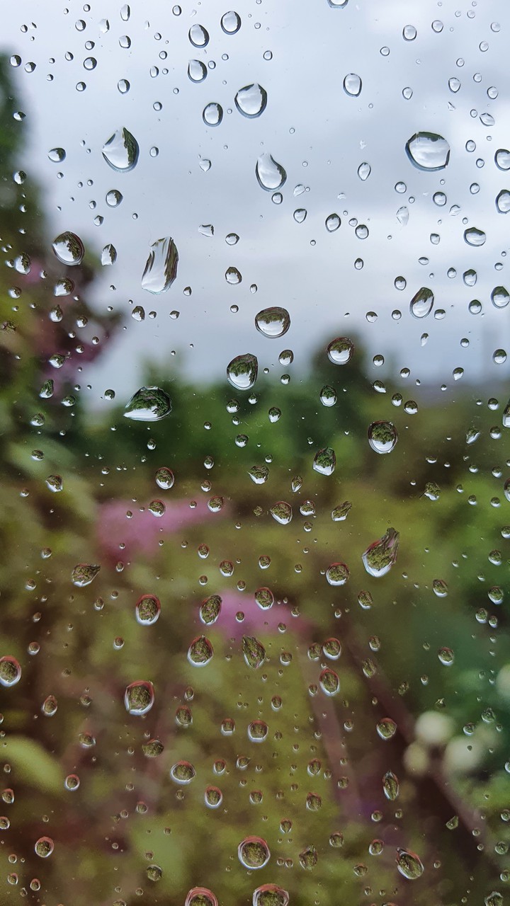 rain