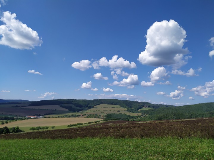 nature