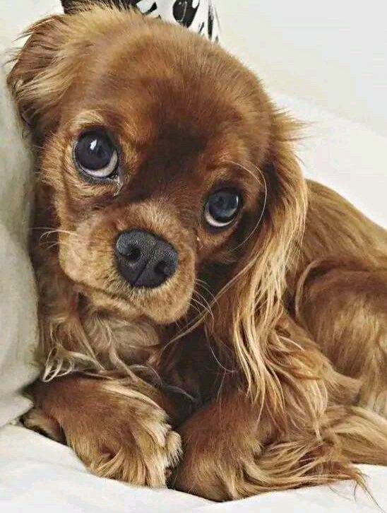 ❤