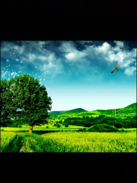 South Iraq(my birthplace)