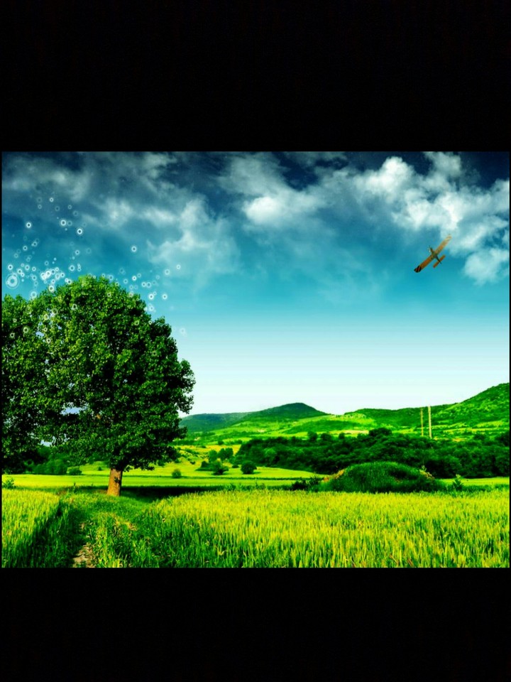 South Iraq(my birthplace)