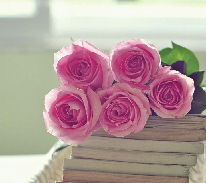 lovely Rose's