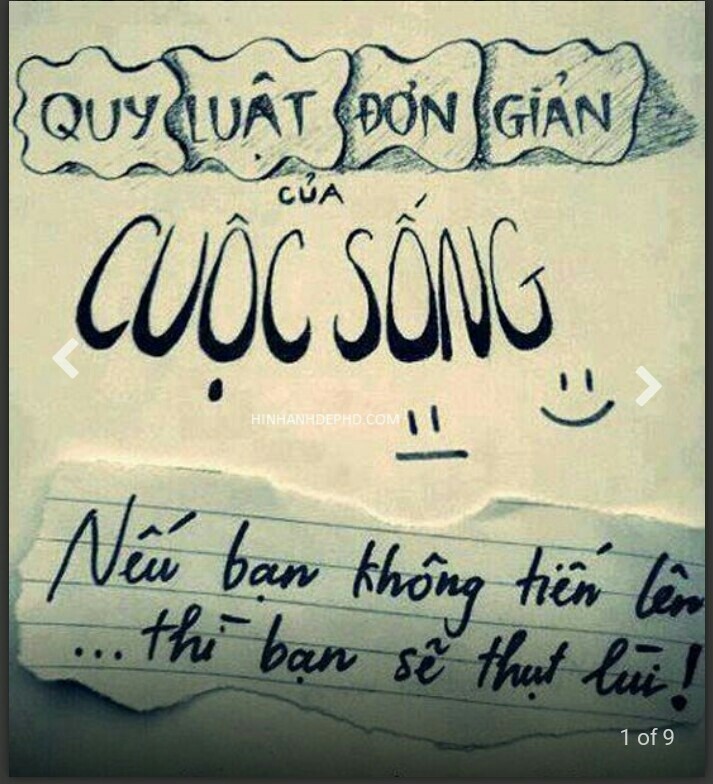 cố thi