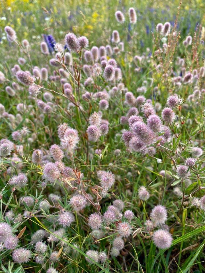 Nature :)