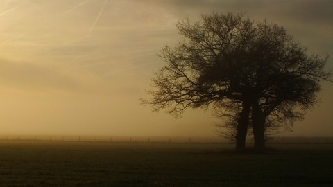 Dunham At Sunrise