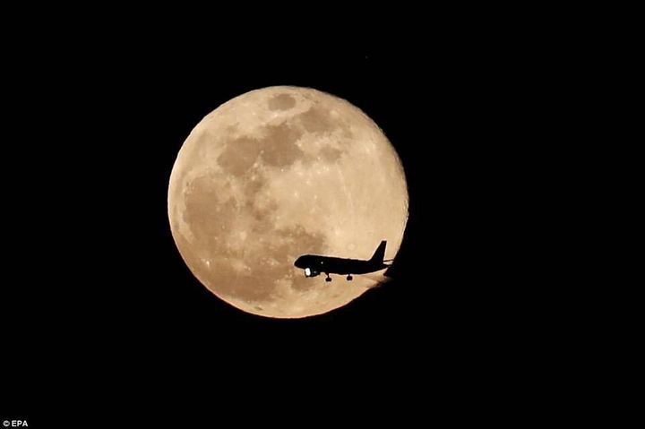 Moon