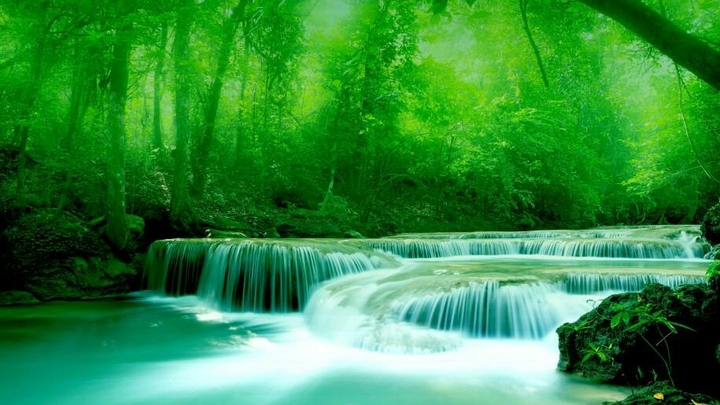 Nature's charm