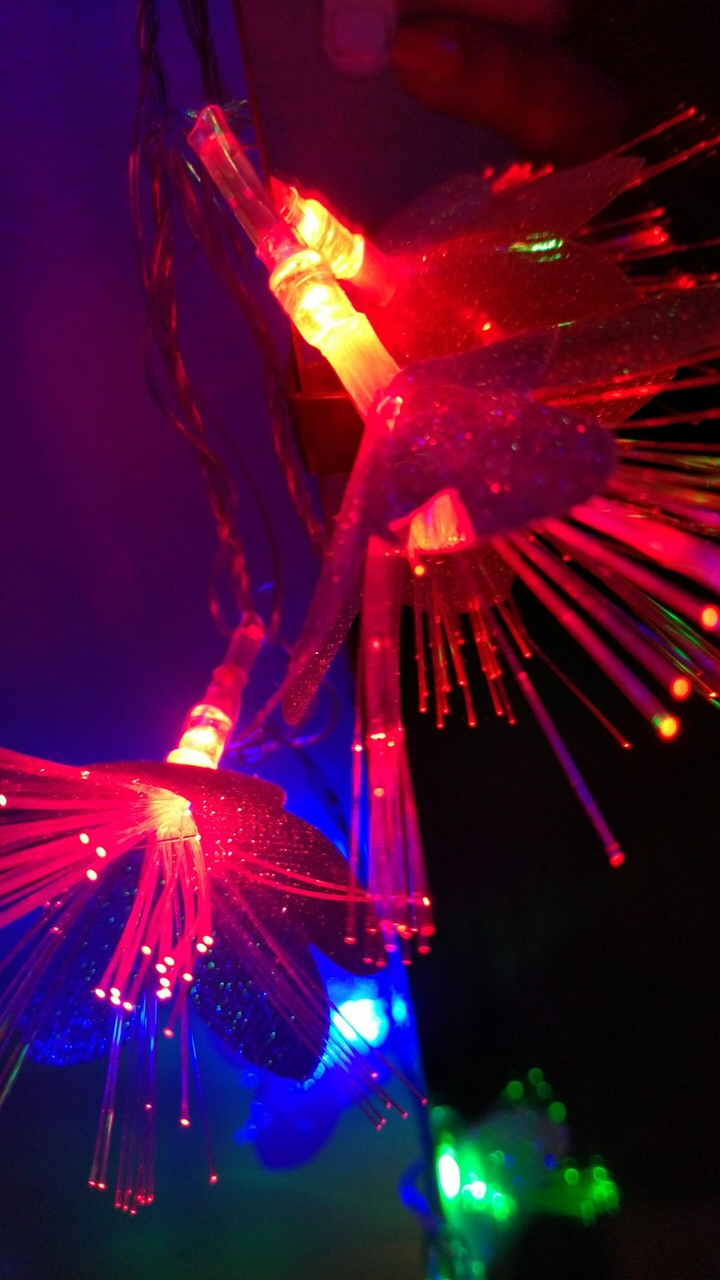 Neon Lights at my home
