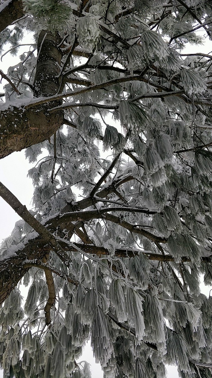 snow time