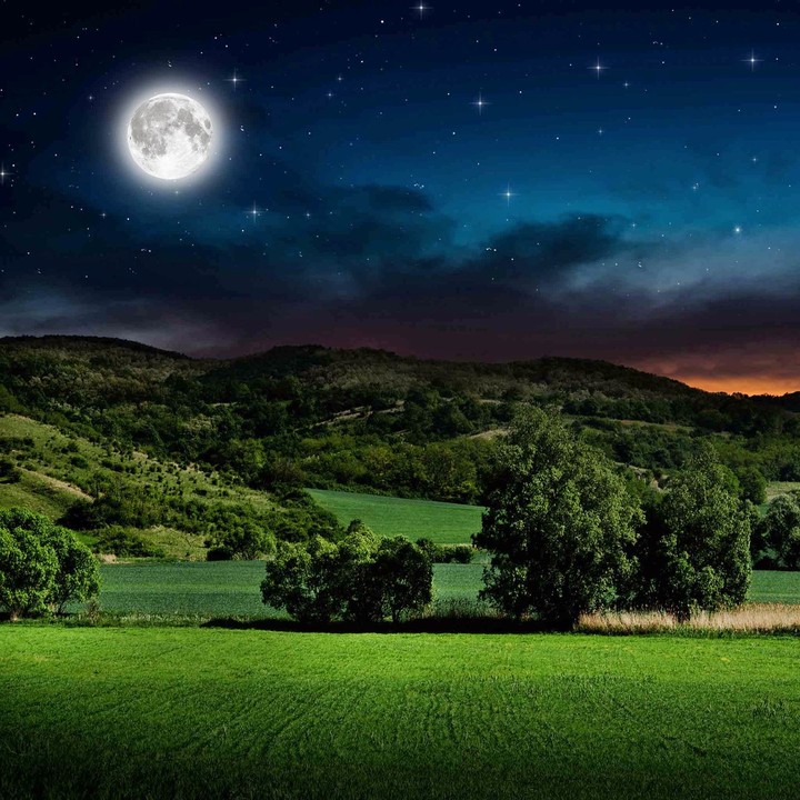 lovely night