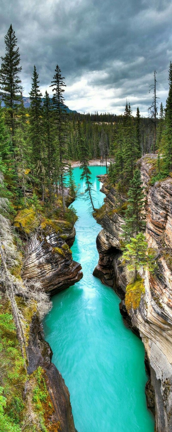 nature