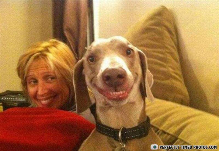 smile pleaae