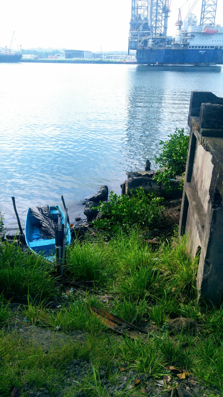 paisaje