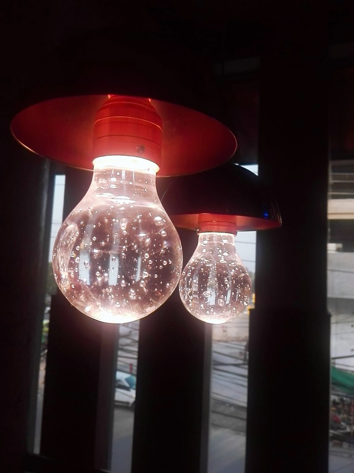 bulbs