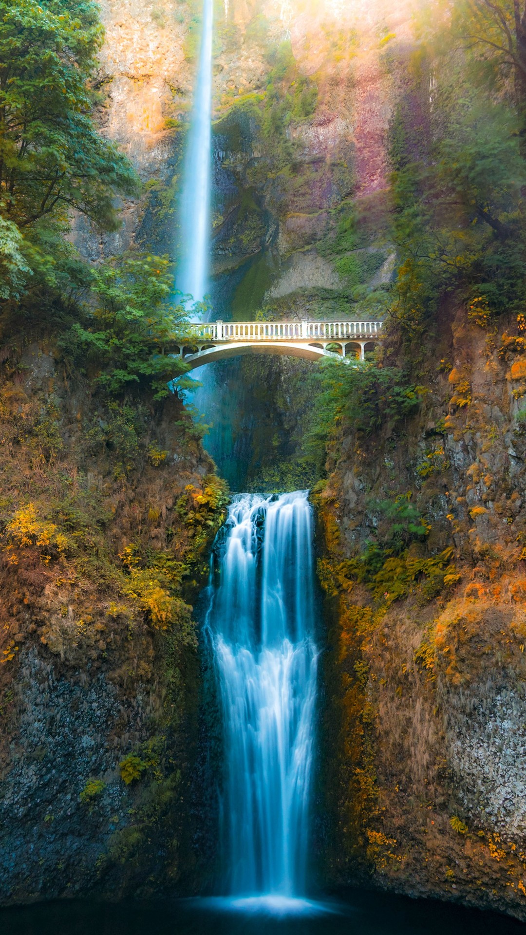 vegetation, waterfall Hintergrundbilder