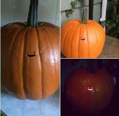 gourd, Carving壁纸