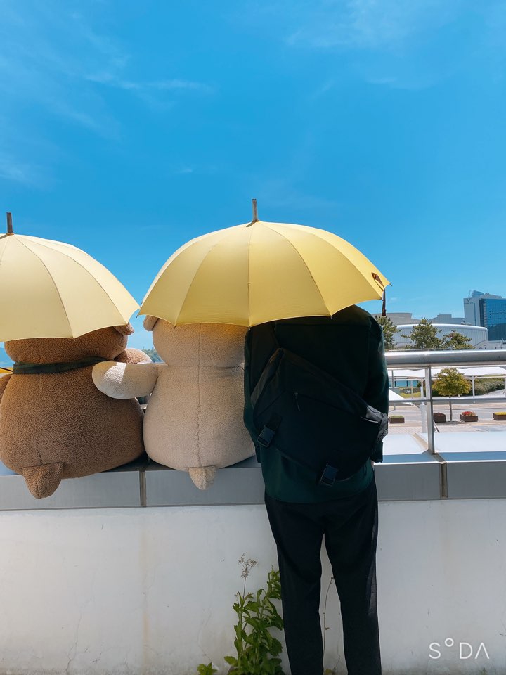 bears
