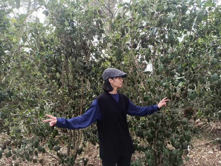 ya