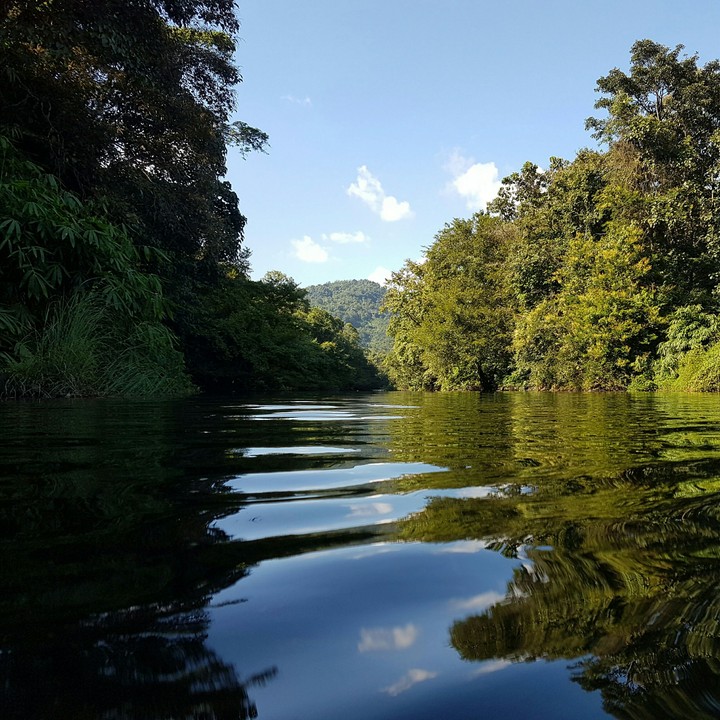 Nature Valley