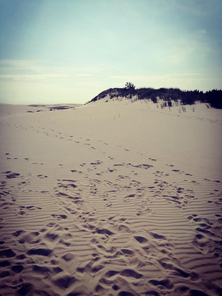 desert