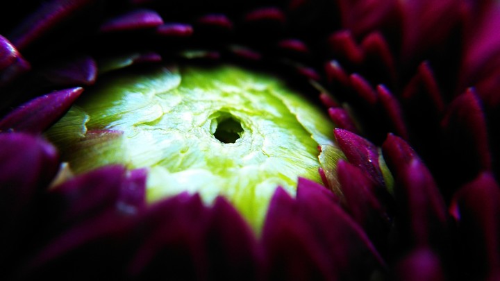 Green eye
