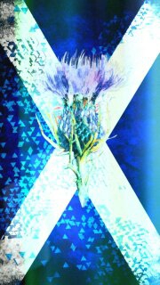 forever scotland