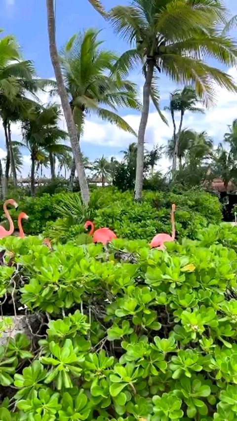 paradise