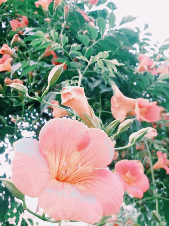 pretty