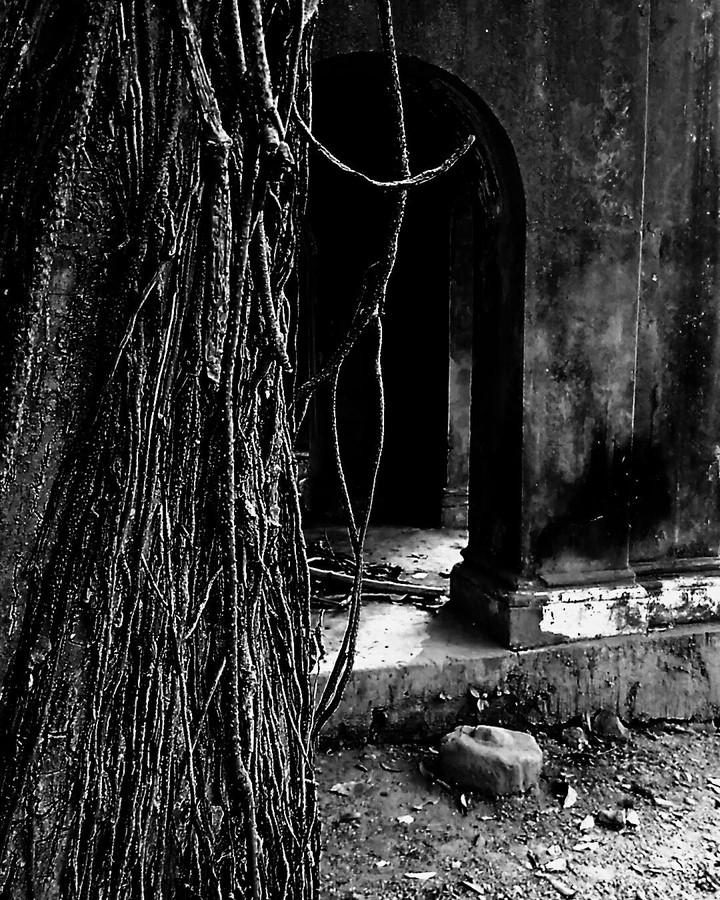 darkness 2