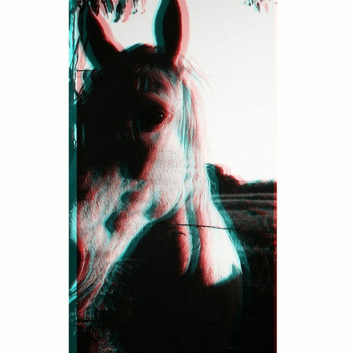✴