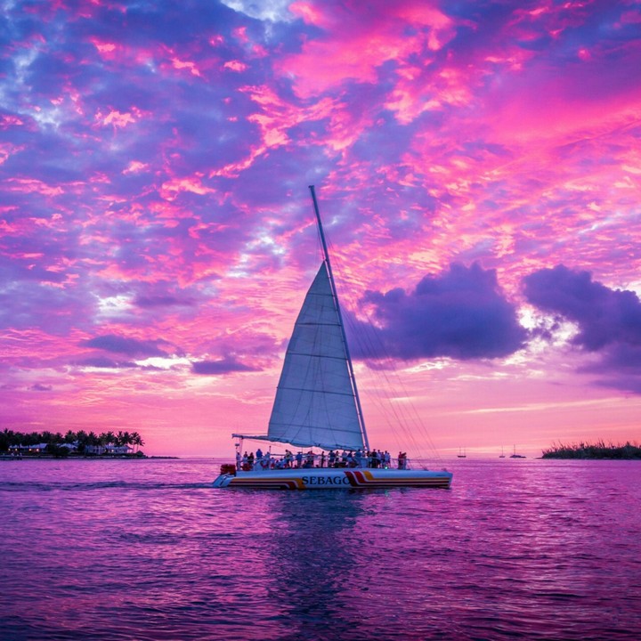 Yatch