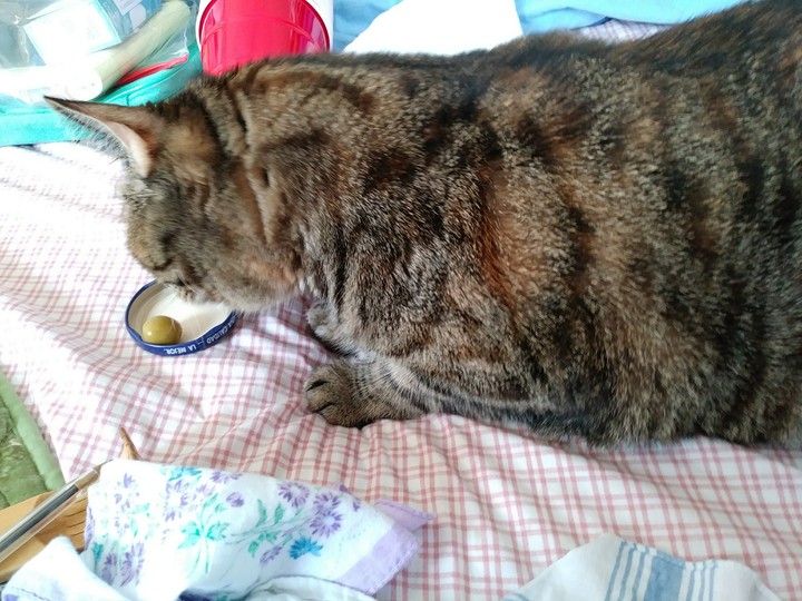 loves olives